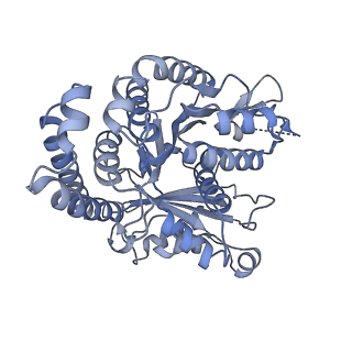 40220_8glv_Bt_v1-2
96-nm repeat unit of doublet microtubules from Chlamydomonas reinhardtii flagella