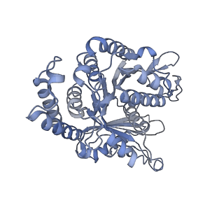 40220_8glv_Bu_v1-2
96-nm repeat unit of doublet microtubules from Chlamydomonas reinhardtii flagella