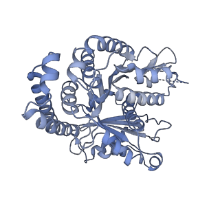 40220_8glv_Bv_v1-2
96-nm repeat unit of doublet microtubules from Chlamydomonas reinhardtii flagella