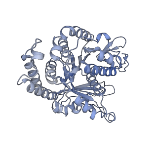 40220_8glv_Bw_v1-2
96-nm repeat unit of doublet microtubules from Chlamydomonas reinhardtii flagella