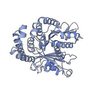 40220_8glv_Bx_v1-2
96-nm repeat unit of doublet microtubules from Chlamydomonas reinhardtii flagella