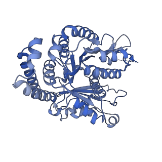 40220_8glv_Bz_v1-2
96-nm repeat unit of doublet microtubules from Chlamydomonas reinhardtii flagella