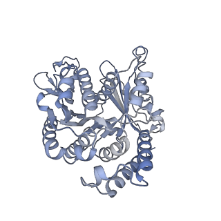 40220_8glv_C0_v1-2
96-nm repeat unit of doublet microtubules from Chlamydomonas reinhardtii flagella