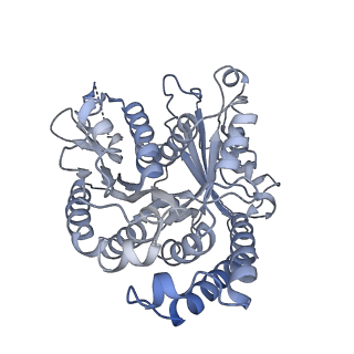 40220_8glv_C1_v1-2
96-nm repeat unit of doublet microtubules from Chlamydomonas reinhardtii flagella