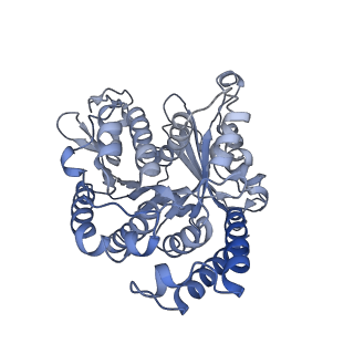 40220_8glv_C2_v1-2
96-nm repeat unit of doublet microtubules from Chlamydomonas reinhardtii flagella