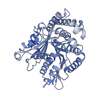 40220_8glv_C3_v1-2
96-nm repeat unit of doublet microtubules from Chlamydomonas reinhardtii flagella