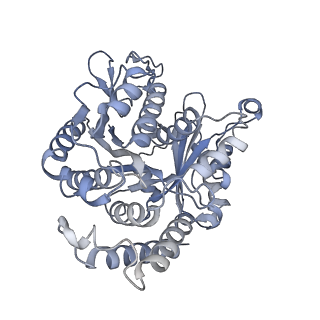 40220_8glv_C4_v1-2
96-nm repeat unit of doublet microtubules from Chlamydomonas reinhardtii flagella