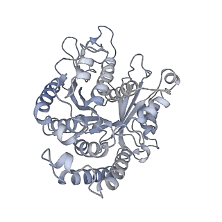 40220_8glv_C5_v1-2
96-nm repeat unit of doublet microtubules from Chlamydomonas reinhardtii flagella