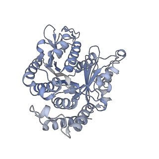 40220_8glv_C6_v1-2
96-nm repeat unit of doublet microtubules from Chlamydomonas reinhardtii flagella
