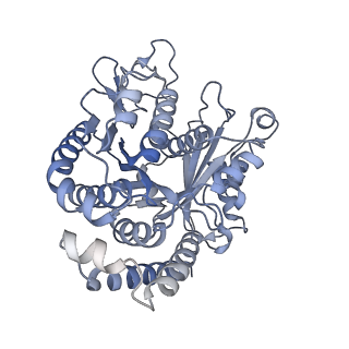 40220_8glv_C7_v1-2
96-nm repeat unit of doublet microtubules from Chlamydomonas reinhardtii flagella