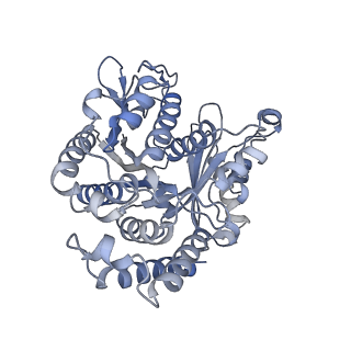 40220_8glv_C8_v1-2
96-nm repeat unit of doublet microtubules from Chlamydomonas reinhardtii flagella