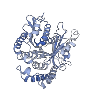 40220_8glv_C9_v1-2
96-nm repeat unit of doublet microtubules from Chlamydomonas reinhardtii flagella