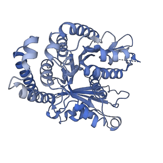 40220_8glv_CA_v1-2
96-nm repeat unit of doublet microtubules from Chlamydomonas reinhardtii flagella
