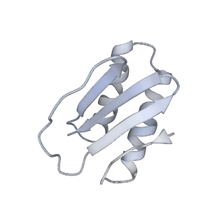 40220_8glv_CB_v1-2
96-nm repeat unit of doublet microtubules from Chlamydomonas reinhardtii flagella