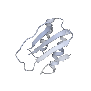 40220_8glv_CC_v1-2
96-nm repeat unit of doublet microtubules from Chlamydomonas reinhardtii flagella