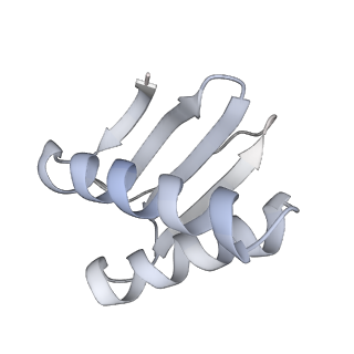 40220_8glv_CD_v1-2
96-nm repeat unit of doublet microtubules from Chlamydomonas reinhardtii flagella