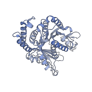 40220_8glv_CE_v1-2
96-nm repeat unit of doublet microtubules from Chlamydomonas reinhardtii flagella