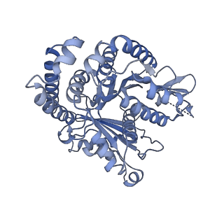 40220_8glv_CF_v1-2
96-nm repeat unit of doublet microtubules from Chlamydomonas reinhardtii flagella