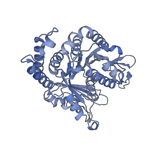 40220_8glv_CG_v1-2
96-nm repeat unit of doublet microtubules from Chlamydomonas reinhardtii flagella
