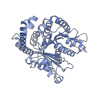 40220_8glv_CH_v1-2
96-nm repeat unit of doublet microtubules from Chlamydomonas reinhardtii flagella