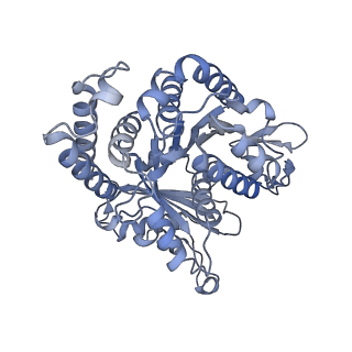 40220_8glv_CI_v1-2
96-nm repeat unit of doublet microtubules from Chlamydomonas reinhardtii flagella