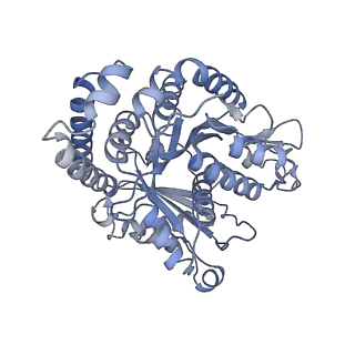 40220_8glv_CJ_v1-2
96-nm repeat unit of doublet microtubules from Chlamydomonas reinhardtii flagella