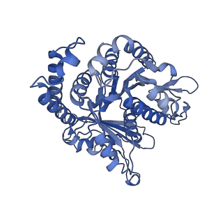 40220_8glv_CM_v1-2
96-nm repeat unit of doublet microtubules from Chlamydomonas reinhardtii flagella