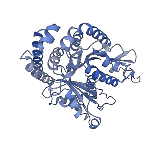 40220_8glv_CN_v1-2
96-nm repeat unit of doublet microtubules from Chlamydomonas reinhardtii flagella