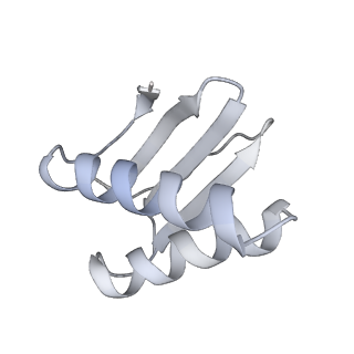 40220_8glv_CO_v1-2
96-nm repeat unit of doublet microtubules from Chlamydomonas reinhardtii flagella