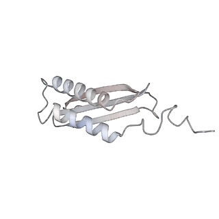 40220_8glv_CQ_v1-2
96-nm repeat unit of doublet microtubules from Chlamydomonas reinhardtii flagella