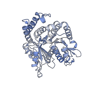 40220_8glv_CR_v1-2
96-nm repeat unit of doublet microtubules from Chlamydomonas reinhardtii flagella