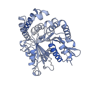 40220_8glv_CS_v1-2
96-nm repeat unit of doublet microtubules from Chlamydomonas reinhardtii flagella