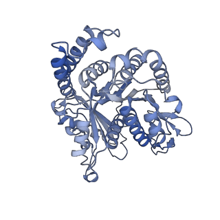 40220_8glv_CT_v1-2
96-nm repeat unit of doublet microtubules from Chlamydomonas reinhardtii flagella
