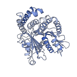 40220_8glv_CU_v1-2
96-nm repeat unit of doublet microtubules from Chlamydomonas reinhardtii flagella