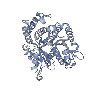 40220_8glv_CV_v1-2
96-nm repeat unit of doublet microtubules from Chlamydomonas reinhardtii flagella