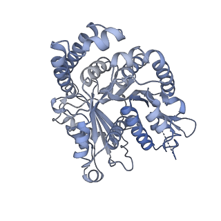 40220_8glv_CW_v1-2
96-nm repeat unit of doublet microtubules from Chlamydomonas reinhardtii flagella