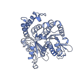 40220_8glv_CX_v1-2
96-nm repeat unit of doublet microtubules from Chlamydomonas reinhardtii flagella