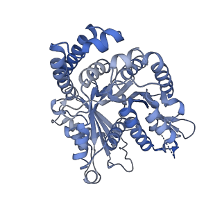 40220_8glv_CY_v1-2
96-nm repeat unit of doublet microtubules from Chlamydomonas reinhardtii flagella