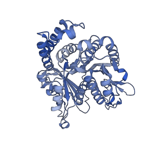 40220_8glv_CZ_v1-2
96-nm repeat unit of doublet microtubules from Chlamydomonas reinhardtii flagella
