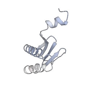 40220_8glv_Ca_v1-2
96-nm repeat unit of doublet microtubules from Chlamydomonas reinhardtii flagella