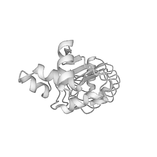 40220_8glv_Cb_v1-2
96-nm repeat unit of doublet microtubules from Chlamydomonas reinhardtii flagella