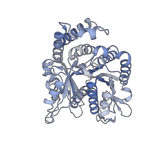 40220_8glv_Ce_v1-2
96-nm repeat unit of doublet microtubules from Chlamydomonas reinhardtii flagella