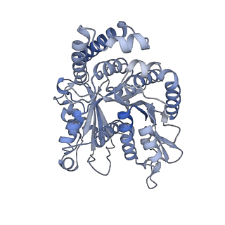 40220_8glv_Cf_v1-2
96-nm repeat unit of doublet microtubules from Chlamydomonas reinhardtii flagella