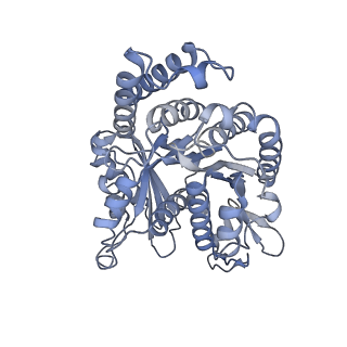 40220_8glv_Cg_v1-2
96-nm repeat unit of doublet microtubules from Chlamydomonas reinhardtii flagella