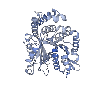 40220_8glv_Ch_v1-2
96-nm repeat unit of doublet microtubules from Chlamydomonas reinhardtii flagella