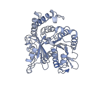 40220_8glv_Ci_v1-2
96-nm repeat unit of doublet microtubules from Chlamydomonas reinhardtii flagella
