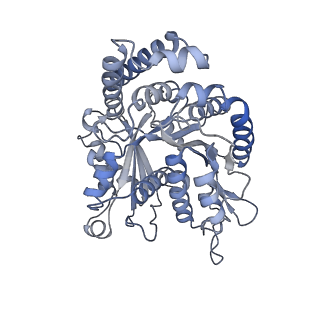 40220_8glv_Cj_v1-2
96-nm repeat unit of doublet microtubules from Chlamydomonas reinhardtii flagella