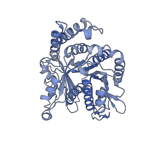 40220_8glv_Ck_v1-2
96-nm repeat unit of doublet microtubules from Chlamydomonas reinhardtii flagella
