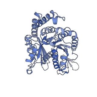 40220_8glv_Cm_v1-2
96-nm repeat unit of doublet microtubules from Chlamydomonas reinhardtii flagella