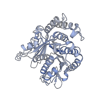 40220_8glv_Cr_v1-2
96-nm repeat unit of doublet microtubules from Chlamydomonas reinhardtii flagella